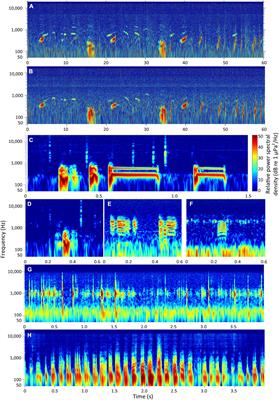 Sounding the Call for a Global Library of Underwater Biological Sounds
